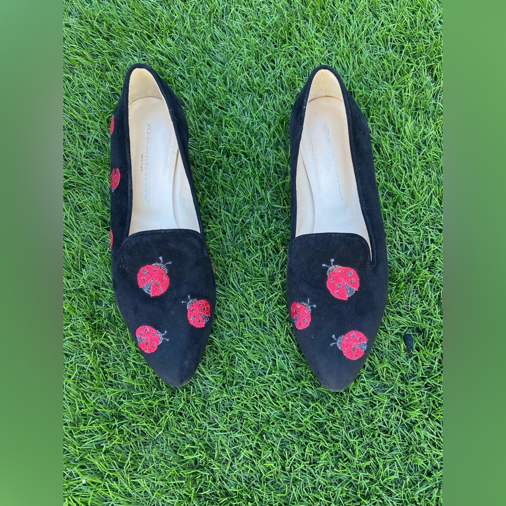 Black Suede Pointed Toe Flats with Red Ladybug Embroidery